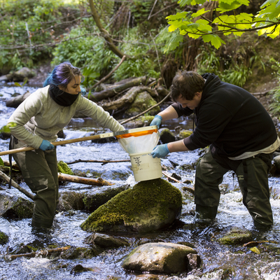 Two students during the MSc Wildlife Biology and Conservation field trip to Hermitage of Braid.