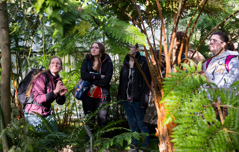 Students amongst green vegetation learning at Edinburgh's Royal Botanic Garden