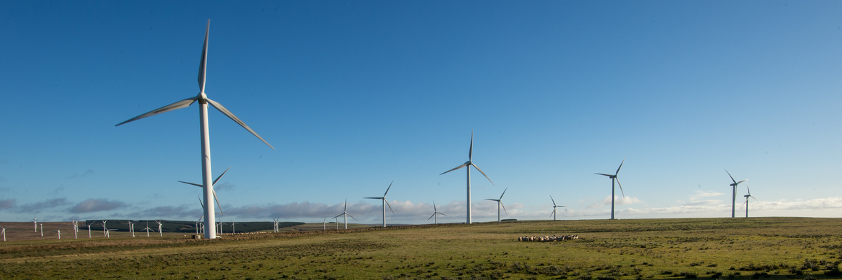 Photo of wind turbines surrounded by green grass and blue skies