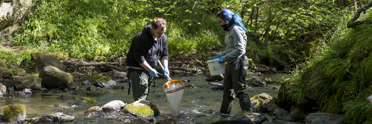 Two students collecting aquatic samples in a river on a field trip