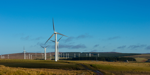 Two girls looking a pc monitor