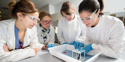 Students looking down at their experiment on the table during a Lab Skills course at Napier University's Sighthill Campus