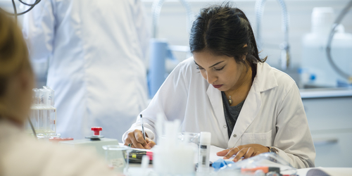Students at work in science lab