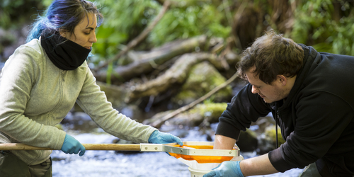 Two students collecting samples from a river