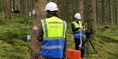 Students wearing high visibility clothes whilst researching in the forest
