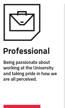 Professional: being passionate about working at the University and taking pride in how we are all perceived