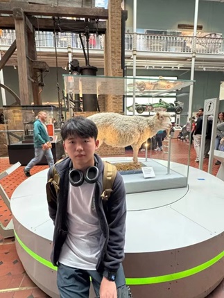 Sun in Naitonal Museum of Scotland