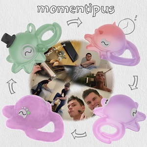 A promotional graphic for student Colin Robertson's Momentipus project